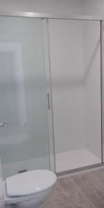 a bathroom with a toilet and a glass shower at Apartamentos Turísticos Magencio in Carucedo