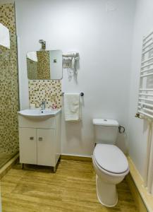 La salle de bains est pourvue de toilettes et d'un lavabo. dans l'établissement Casa Andrei & Alex 2 Mai, à 2 Mai