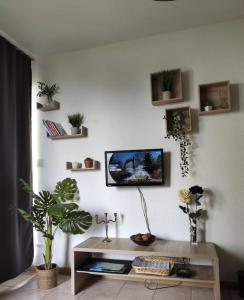 Televízia a/alebo spoločenská miestnosť v ubytovaní le Paraids Blanc Studio with terrace in Gérardmer