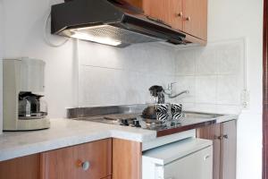 Kuchyň nebo kuchyňský kout v ubytování Areti Orfeas Apartment 5