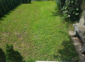 a yard with green grass next to a bench at Trg Mozirje in Mozirje