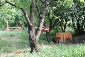 een tafel in een veld naast een boom bij Hayk B&B (in Sanahin) in Alaverdi