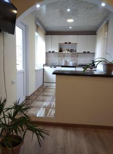 Köök või kööginurk majutusasutuses Hayk B&B (in Sanahin)