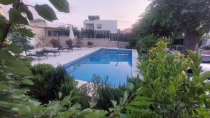 a swimming pool in a yard with some plants at Apartments Plavi&Žuti in Zaboric