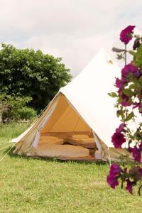 una tenda è situata in un campo con fiori di Aparra Surfcamp Saint-Jean-de-Luz a Saint-Jean-de-Luz
