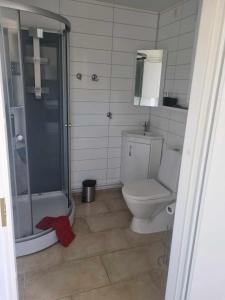 a bathroom with a toilet and a shower at Hagi 2 Road 62 in Patreksfjörður