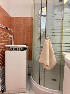 uma casa de banho com um chuveiro e um lavatório. em Grand Studio 4 pers - VUE MER em Saint-Raphaël