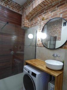 a bathroom with a sink and a mirror and a washing machine at Gingerbread Hostel in Toruń