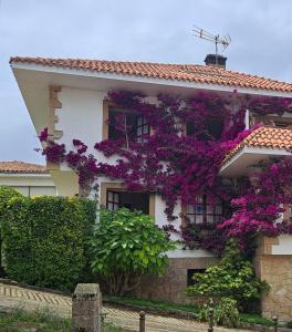 タソネスにあるCasa Joaquinの紫の花の建物