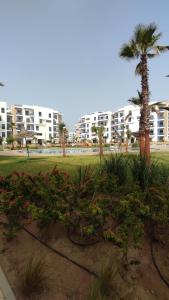 a park with flowers and a palm tree and buildings at COSTA MAR MARTIL 2 TETOUAN in Martil