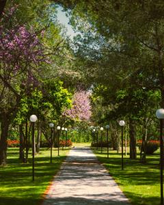 un chemin dans un parc avec des arbres et des lumières dans l'établissement Green Park Divjakë, à Divjakë
