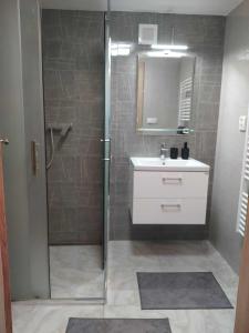 a bathroom with a shower with a sink and a mirror at Apartmán na Rybářské in Zábřeh