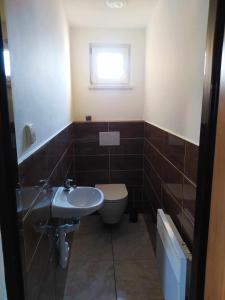 Koupelna v ubytování Apartmán na Rybářské + 2 fotografie
