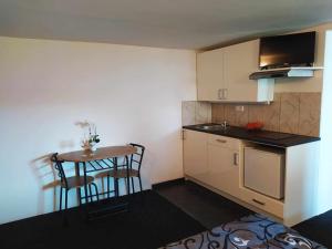 Kuchyň nebo kuchyňský kout v ubytování Apartmán na Rybářské