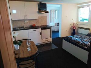 Kuchyň nebo kuchyňský kout v ubytování Apartmán na Rybářské