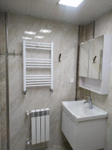 La salle de bains est pourvue d'un lavabo et d'un miroir. dans l'établissement Friends Guest House, à Gandja