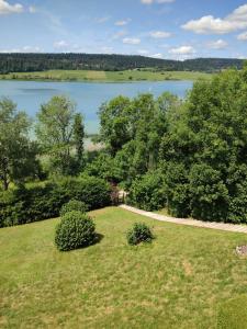 an aerial view of a field with a lake and trees at Duplex Le Reflet du Lac in Malbuisson +4 photos