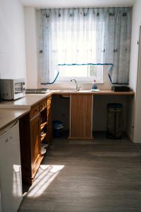 een keuken met een aanrecht, een wastafel en een raam bij Dill Apartments Stederdorf in Peine