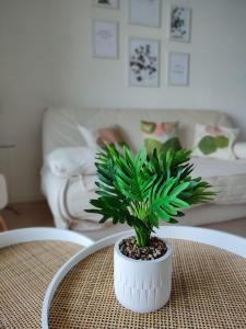 Fotografie z fotogalerie ubytování Duplex Le Reflet du Lac v destinaci Malbuisson