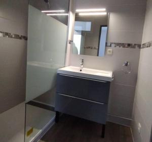 een badkamer met een wastafel en een spiegel bij chazi and cosy in Toulouse