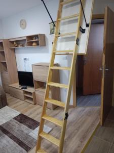 TV a/nebo společenská místnost v ubytování Vila Tutić Apartman 1 i Apartman 2