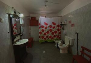 baño con 2 aseos y cortina de ducha en Gran Casa Hostel&Camping en Tilcara