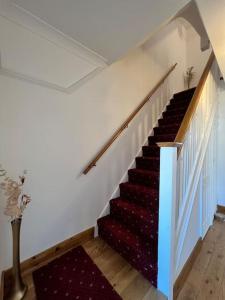a staircase in a house with a red carpet at Large whole house with 7 bedrooms in S.Norwood in Norwood