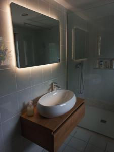 La salle de bains est pourvue d'un lavabo, d'un miroir et d'une douche. dans l'établissement Homestay Zajec, à Grosuplje