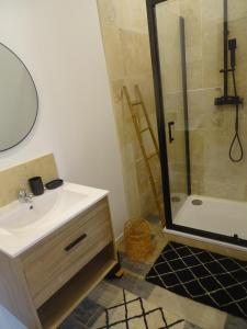 ein Bad mit einem Waschbecken und einer Dusche in der Unterkunft Studio 2 personnes à Moussan in Moussan