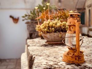レッチェにあるArtas la tua casa indipendente a Lecceの植物をテーブルに座らせた古消火栓