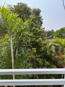 un banc blanc devant un jardin avec des plantes dans l'établissement Studio de charme rénové - Fibre- Centre Rabat, à Rabat