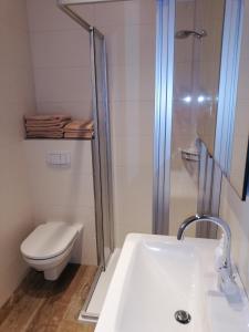a bathroom with a toilet and a sink and a shower at Ferienwohnung Sauerland in Drolshagen +14 photos