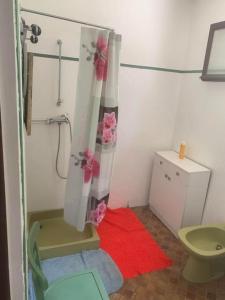 a bathroom with a shower curtain and a toilet at Maison indépendante à proximité des lacs in Saint-Pierre-Bellevue