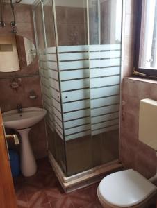 a bathroom with a shower and a toilet and a sink at Apartments Dora in Medulin