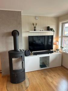 a living room with a fireplace and a flat screen tv at Leilighet i Tråstølen Bavallen Voss in Skulestadmo
