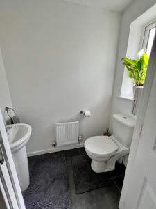 a white bathroom with a toilet and a sink at North Colchester Homestay in Mile End