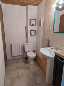 La salle de bains est pourvue de toilettes blanches et d'un lavabo. dans l'établissement Studio confort montagne, à Aulus-les-Bains