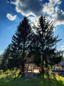 dwa duże drzewa przed drewnianym domkiem w obiekcie Get your zen among the trees w mieście Stahovica