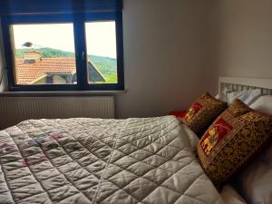 1 dormitorio con 1 cama grande y ventana en Homestay Zajec en Grosuplje