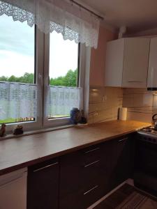 a kitchen with a counter and two windows at Domek Żegary in Sejny +11 photos