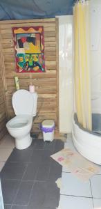 a bathroom with a toilet and a shower at coté plage caravane front de mer in Vias
