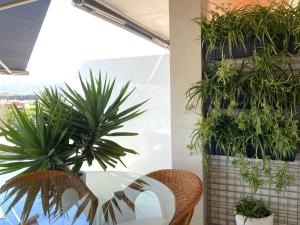 a table and chairs with plants on a wall at Apartment Ramon in Sant Antoni de Calonge