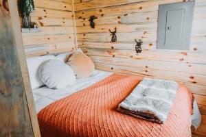 a bedroom with a bed in a wooden wall at Hollow Hills Tiny Home in Penn Yan