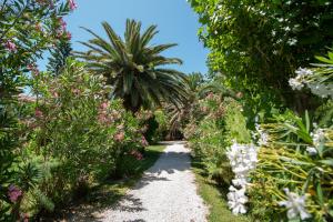 Foto dalla galleria di Hara Studios a Laganas