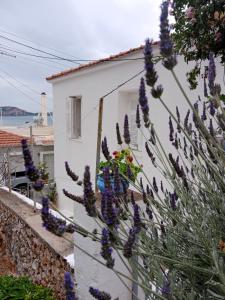 een wit huis met paarse bloemen ervoor bij George Traditional House in Pylos