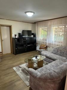 sala de estar con sofá y mesa de centro en Apartma Zeleni Raj, en Ptuj