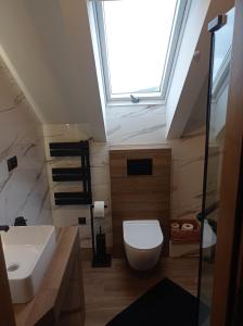a bathroom with a white toilet and a skylight at Domek Bieszczadzki Horyzont in Berezka