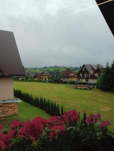 uma vista para um quintal com casas e flores em Noclegi SKORUSINKA w pobliżu Chochołowskich Term em Witów