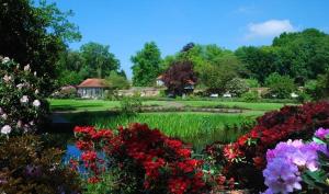 un jardín con flores y una casa de fondo en Hafenperle Ferienwohnung am Alten Stadthafen in Oldenburg - Zentrale City Lage, en Oldenburg