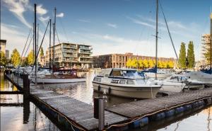 Výhled na řeku, která protéká v blízkosti apartmánu + 8 fotografií